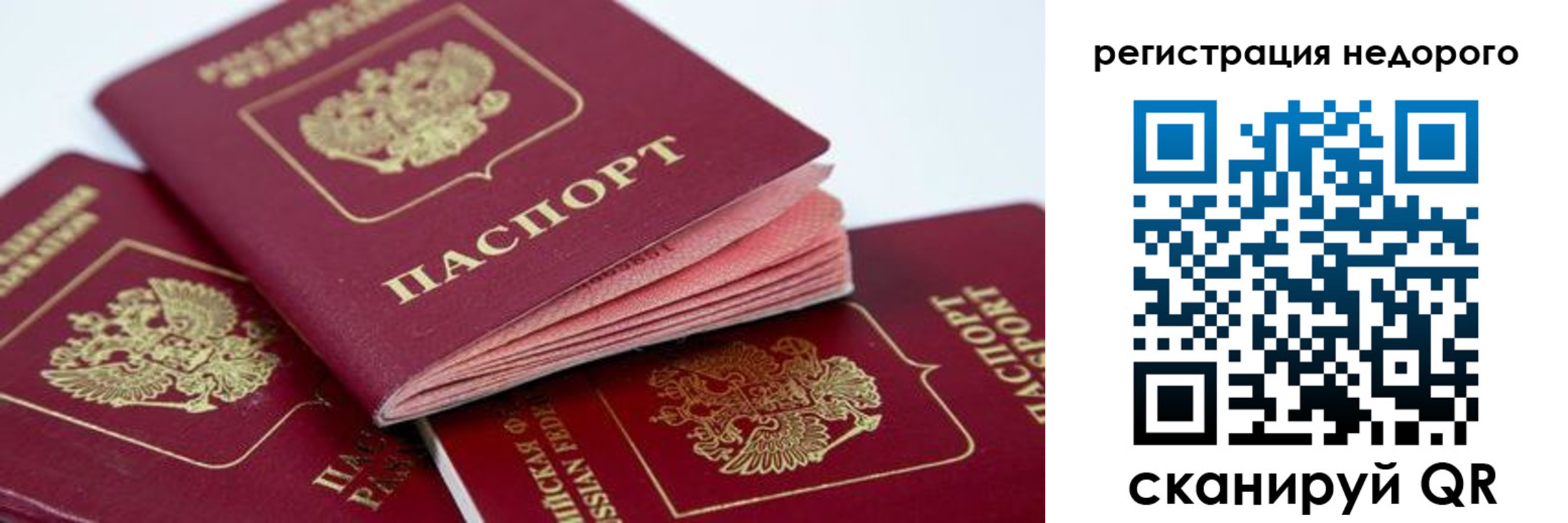 где прописаться в Кировске